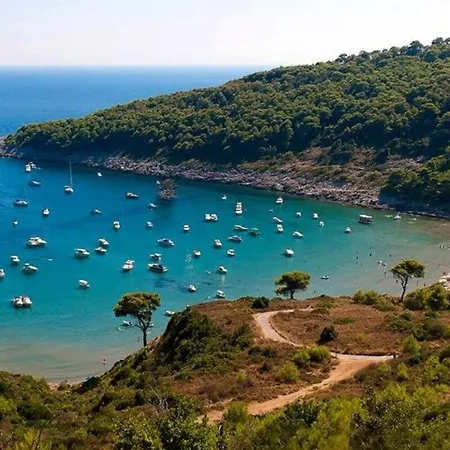 Mario - Veliki Stan Za Odmor - Terasa- Vrt - Bazen - Pogled More, Izoliran Apartamento *